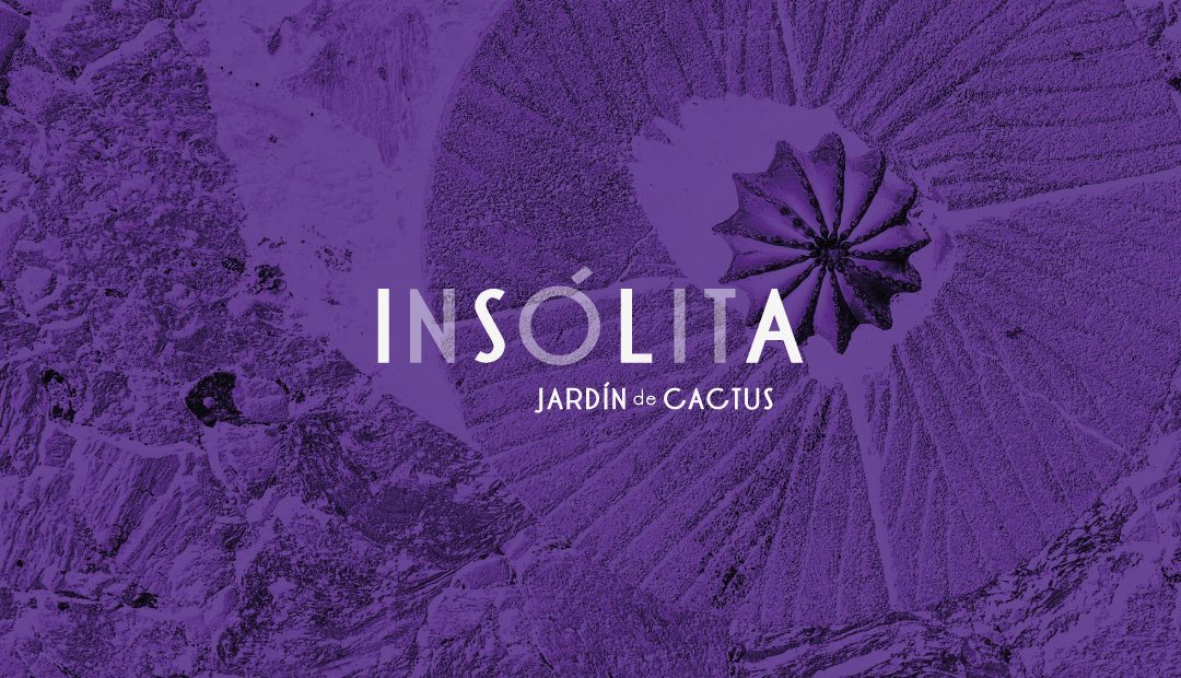 Insolita | Event in Lanzatotes Cactus Gardens