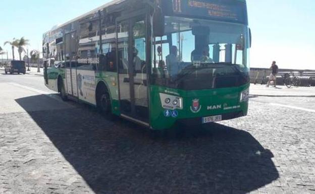 New Public Electric Buses
