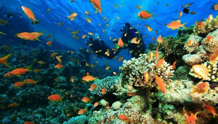 World Oceans Protected By UN Agreement