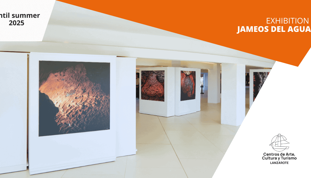 Exhibition At Jameos